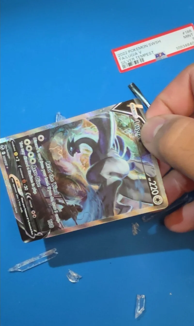 Original Pokémon card documentation photograph